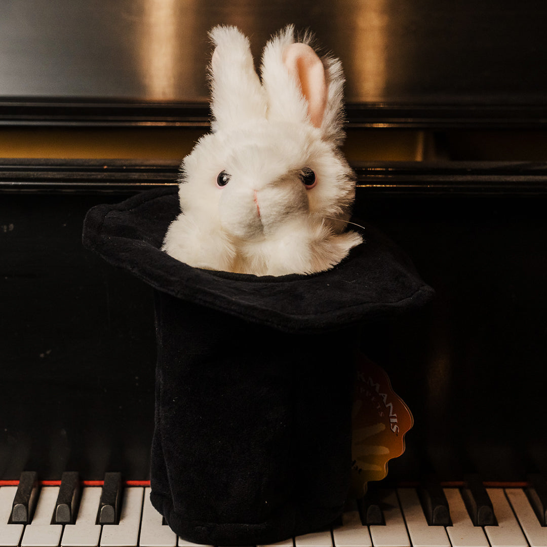 The Exclusive Magic Castle Online Gift Shop | The Academy of Magical A ...